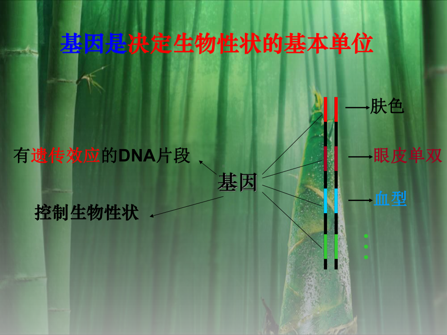 高中生物必修2遗传与进化《第1节基因指导蛋白质的合成》PPT课件(11)(1).ppt_第1页