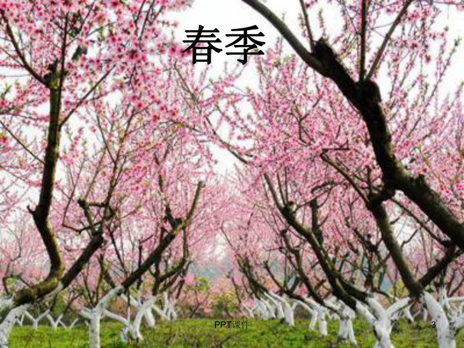 气候与季节-ppt课件.ppt_第3页