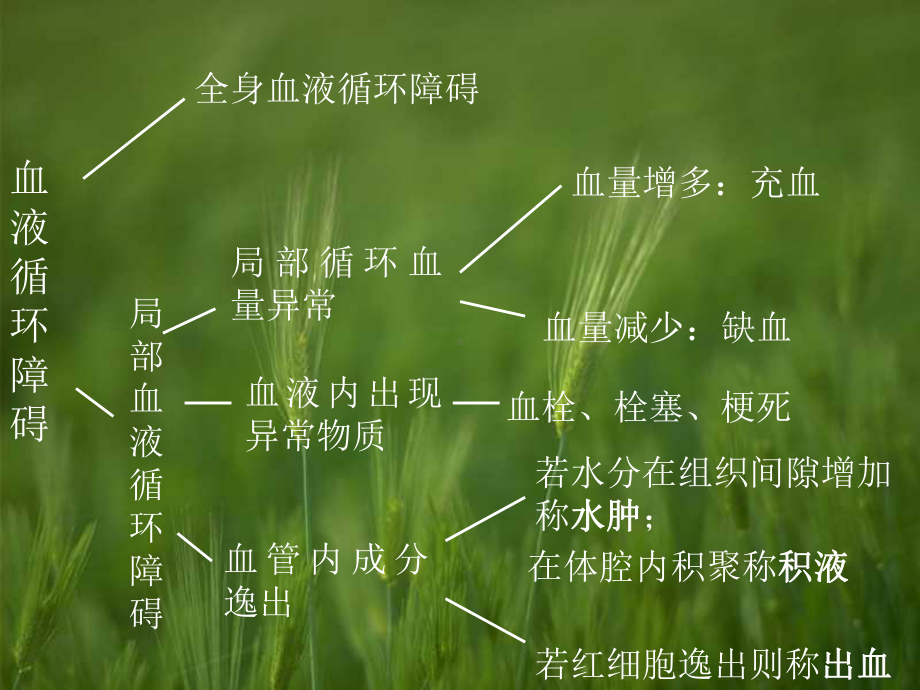 第二章 局部血液循环障碍 [课件].ppt_第2页