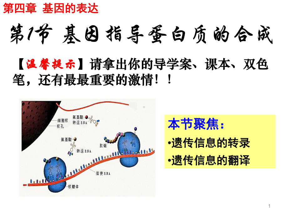 人教版高一生物必修二(课件)4.1基因指导蛋白质的合成 (共62张PPT).ppt_第1页