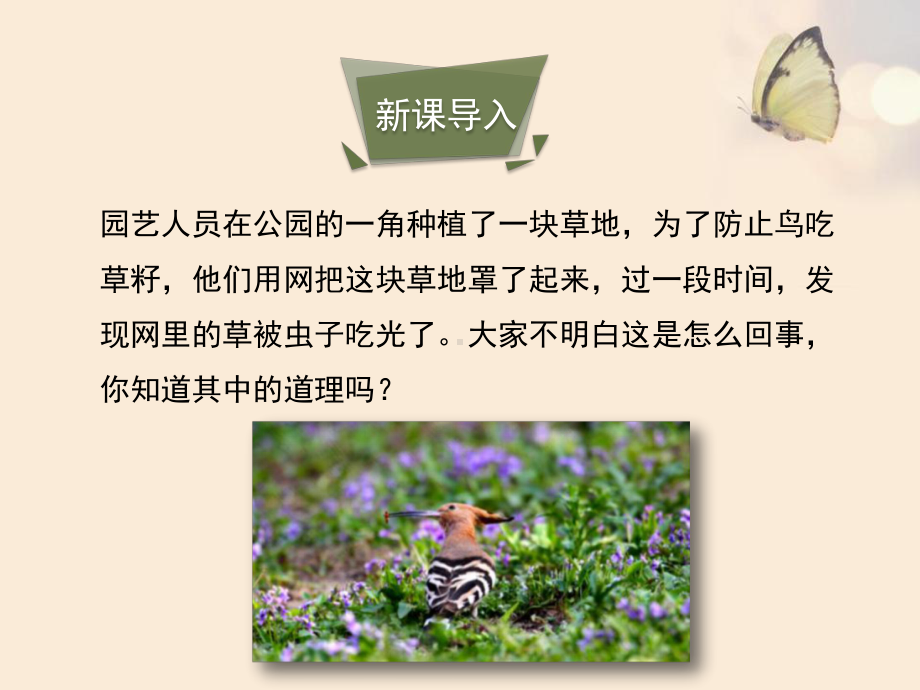 北师大版生物八年级下册23.4《生态系统的稳定性》ppt课件.pptx_第3页