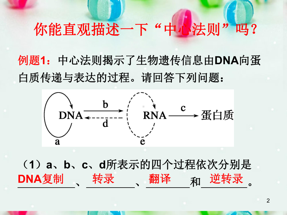 高中生物 第三章 遗传的分子基础 遗传信息的表达 RNA和蛋白质的合成课件 浙科版必修2.ppt_第2页