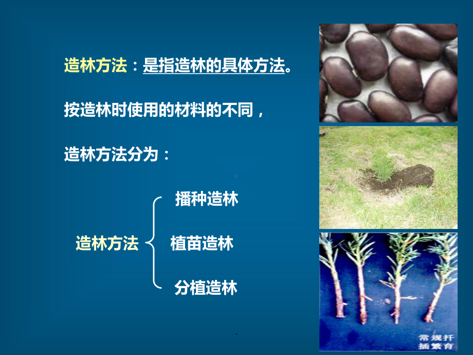 -造林方法PPT课件(同名126793).ppt_第2页