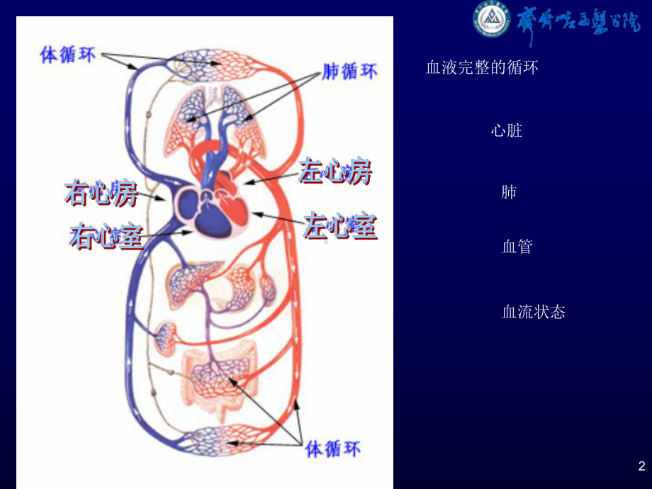 第三章局部血液循环障碍2014.9.3[课件资料].ppt_第2页