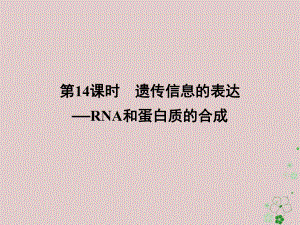 2017-2018学年高中生物 第三章 遗传的分子基础 第14课时 遗传信息的表达-RNA和蛋白质的合成同步备课课件 浙科版必修2.ppt