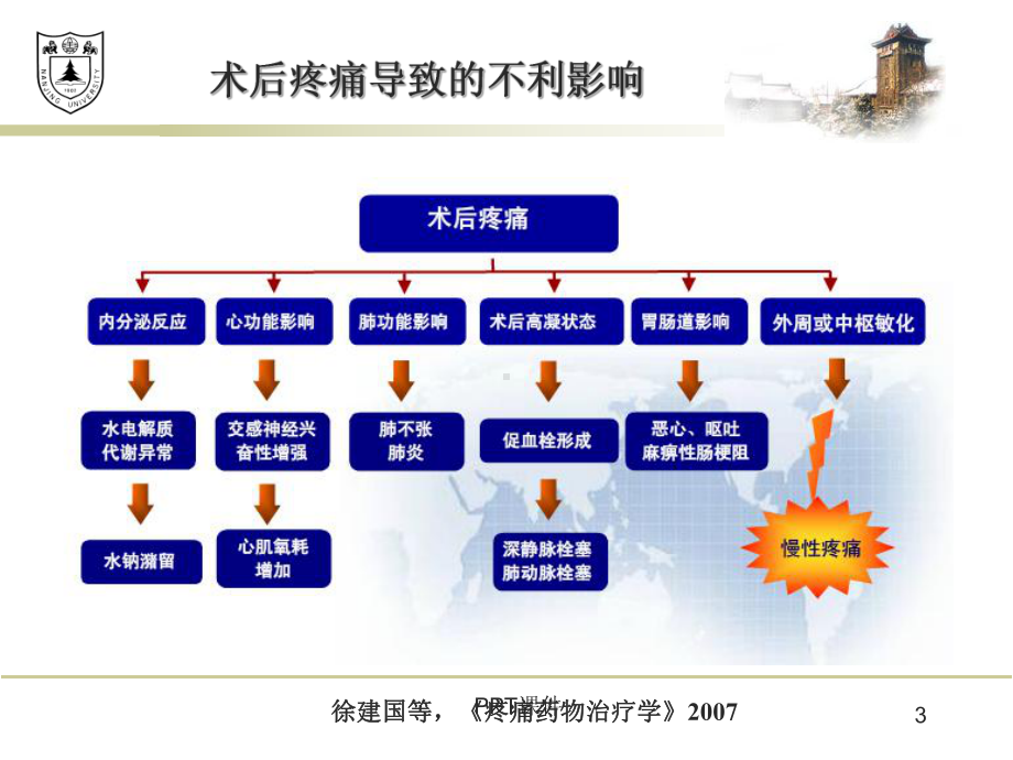 ERAS镇痛-ppt课件.ppt_第3页