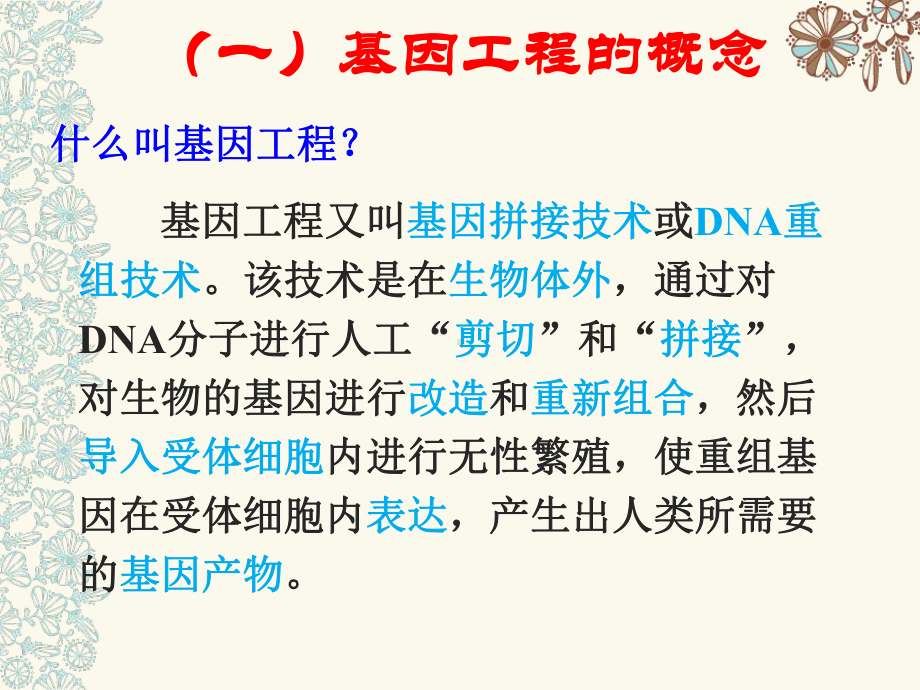 1.1 DNA重组技术的基本工具 课件(共28张PPT).ppt_第3页