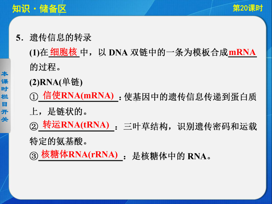 （学案导学设计）2013-2014高中生物苏教版必修二：4.3 基因控制蛋白质的合成(Ⅲ) 课件（苏教版必修2）.ppt.ppt_第3页