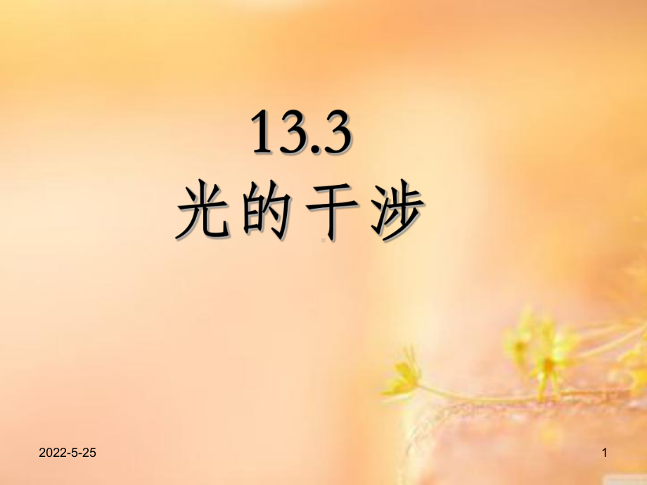 光的干涉优质课课件(同名119663).ppt_第1页