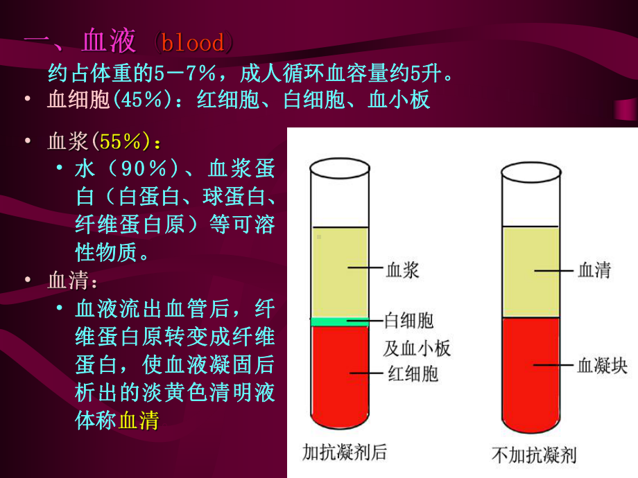 《组织学与胚胎学教学课件》xj血液.ppt_第3页