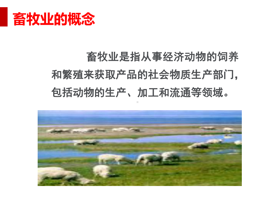 畜牧业经营与管理课件(PPT40页).ppt_第2页