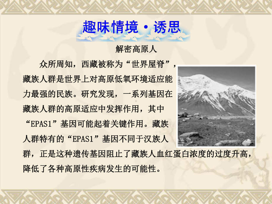 高中生物 3.4遗传信息的表达RNA和蛋白质的合成课件 浙科版必修2.ppt_第2页