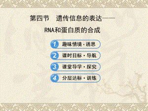 高中生物 3.4遗传信息的表达RNA和蛋白质的合成课件 浙科版必修2.ppt