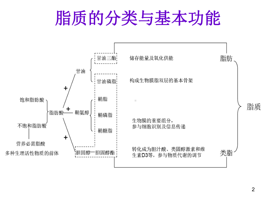 脂质代谢紊乱PPT课件.ppt_第2页