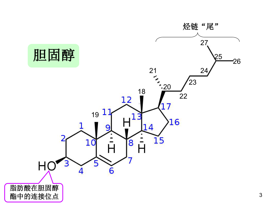 脂质代谢紊乱PPT课件.ppt_第3页