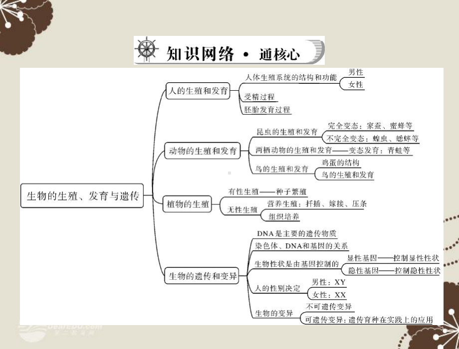 生物的生殖、发育与遗传课件.ppt_第3页