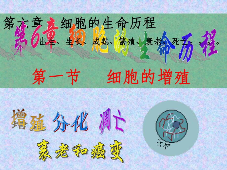 细胞增殖ppt课件.ppt_第1页