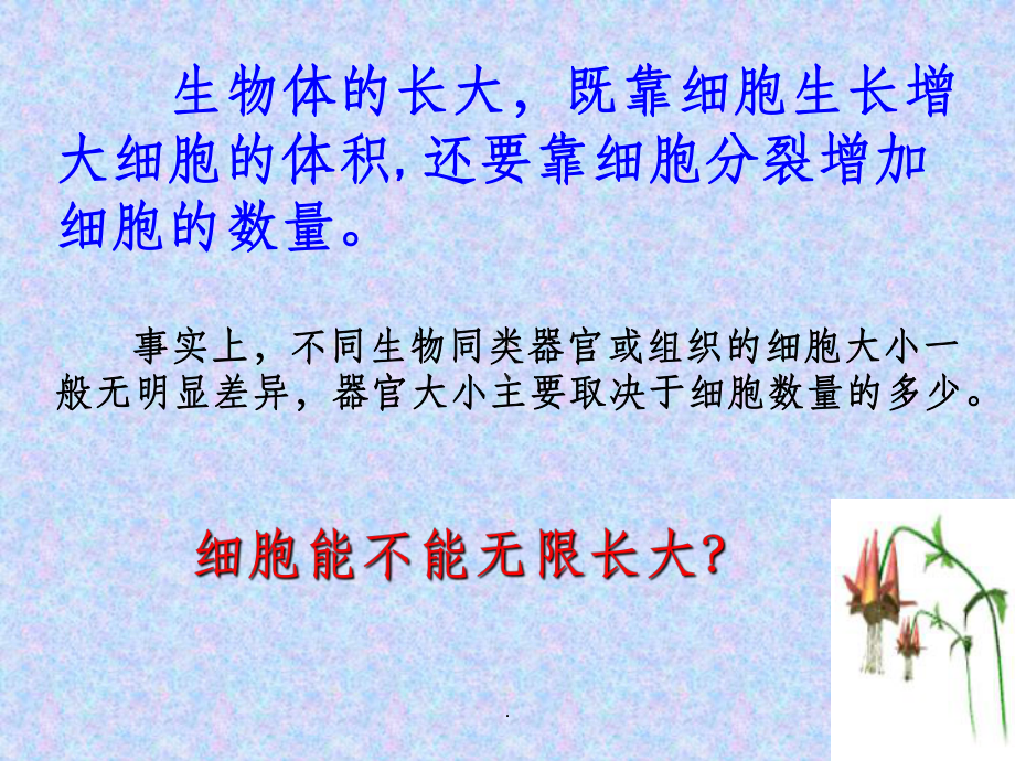 细胞增殖ppt课件.ppt_第3页