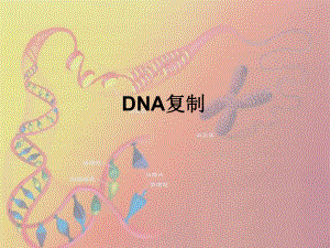 《6 遗传信息的传递和表达-第2节 DNA 复制和蛋白质合成课件》高中生物沪科版高中第二册2258.ppt.ppt