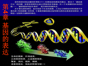 （备课参考）高中生物必修2课件：41 基因指导蛋白质的合成（共27张PPT）.ppt