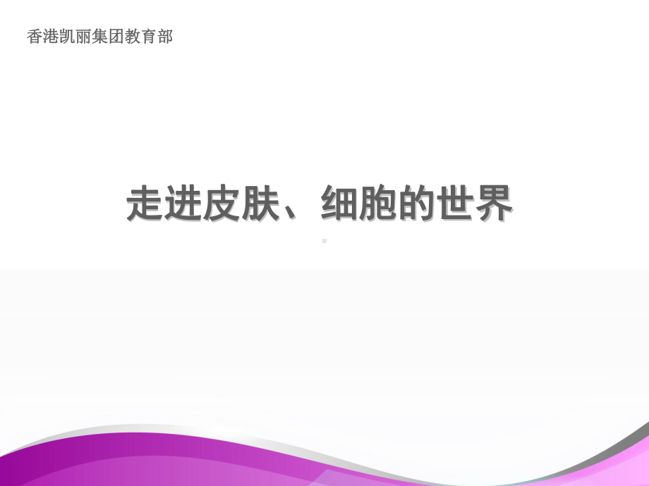 第一皮肤基础知识-课件（PPT演示）.ppt_第1页