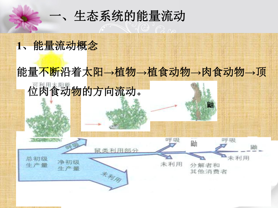 浙科版必修3-6.3-能量流动和物质循环-名师制作优质课件(25张).pptx_第3页