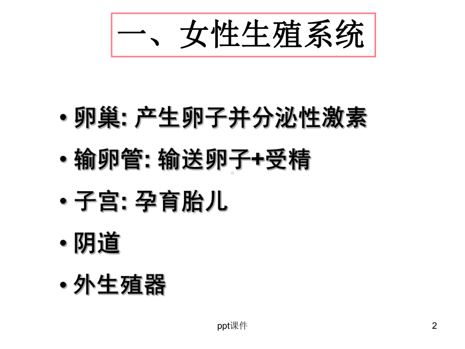 第二章-卵子发生-ppt课件.ppt_第2页