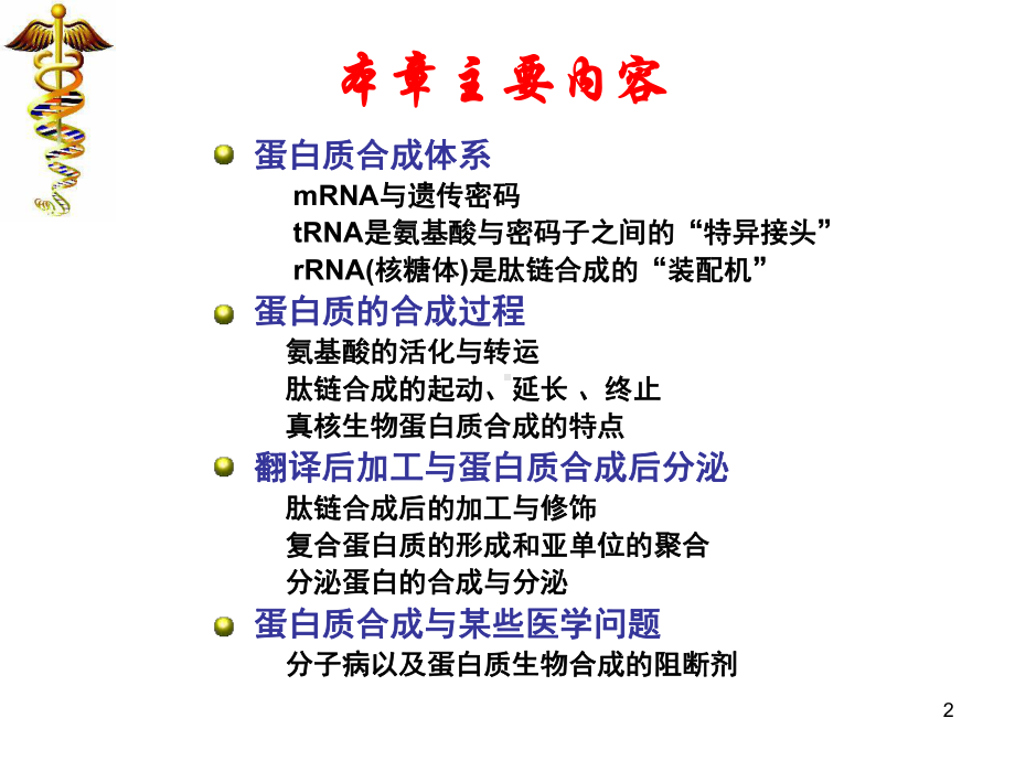 北京大学生物化学课件 蛋白质生物合成.ppt_第2页