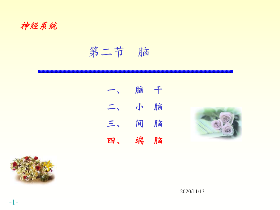 脑解剖-ppt课件.ppt_第1页