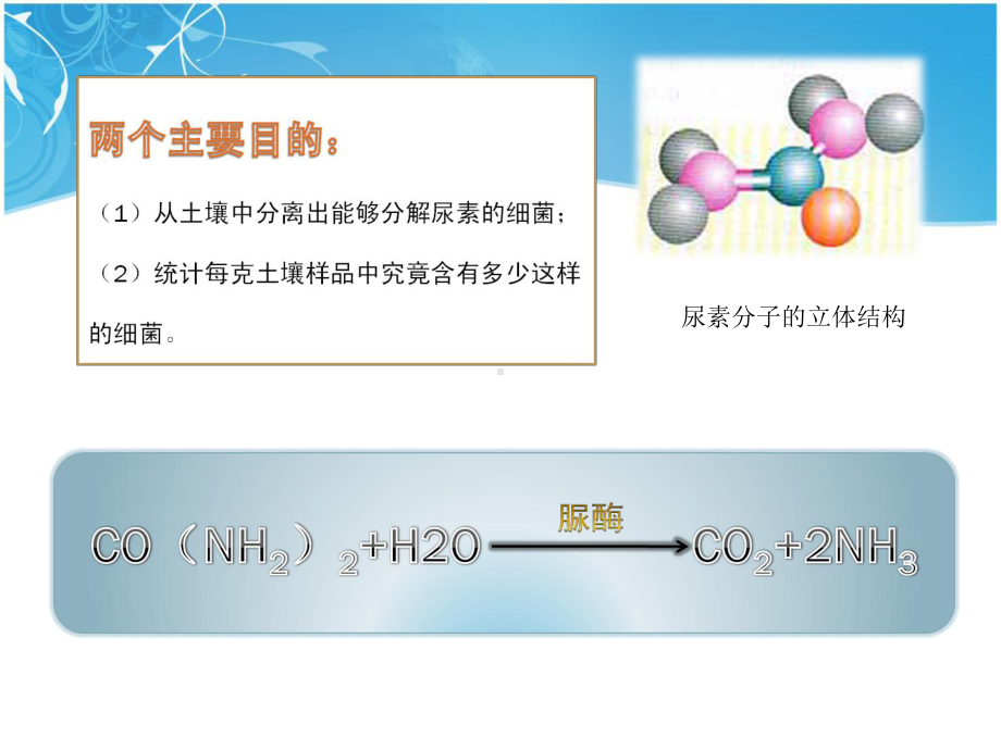 教学课件：课题2.3土壤中尿素细菌的分离-分解纤维素的微生物的分离.ppt_第2页