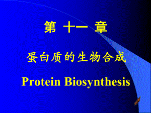 蛋白质的生物合成 ppt课件.ppt