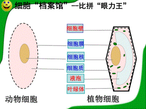 第四节细胞的生活ppt课件.ppt