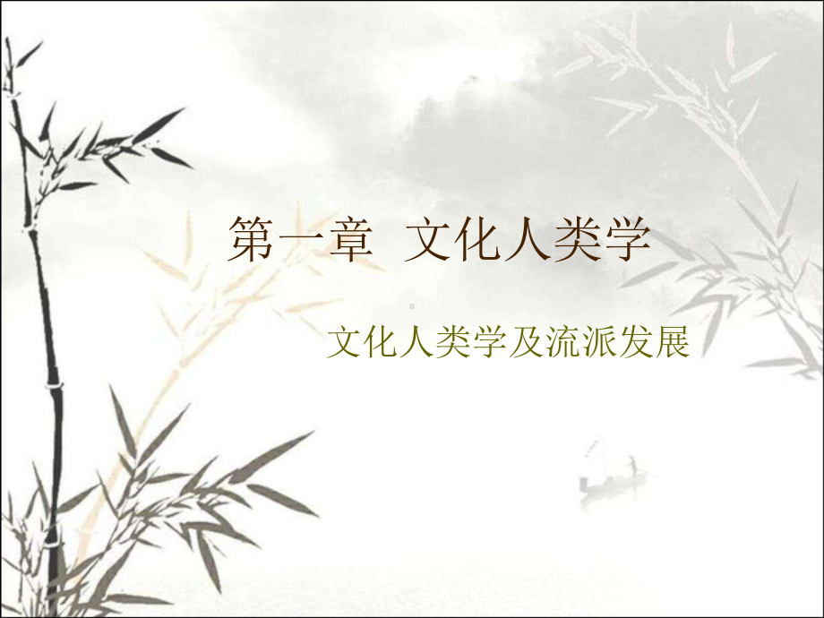 文化人类学-PPT课件.ppt_第1页