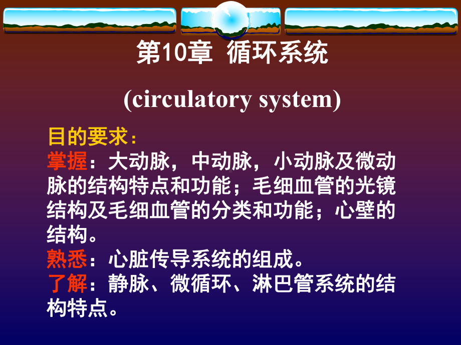 邓成国-组织胚胎学课件 循环系统kqz.ppt_第2页