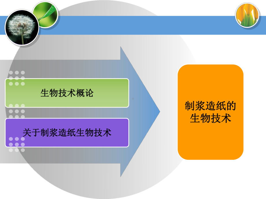 制浆造纸的生物技术-PPT课件.ppt_第2页