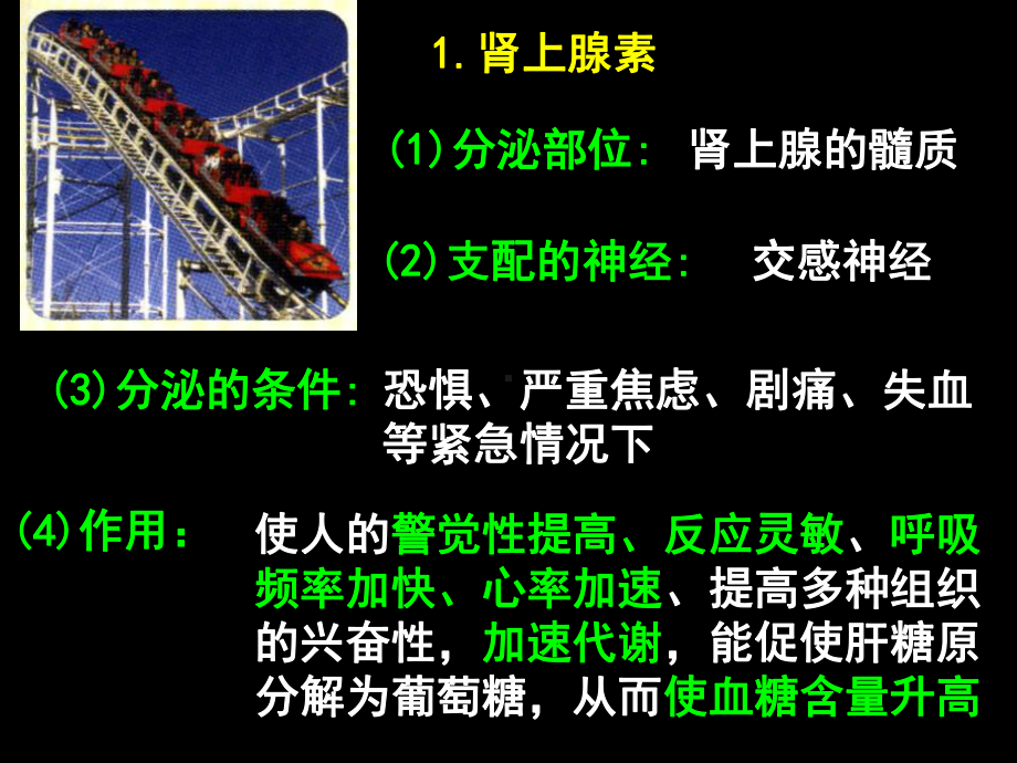 神经调节与体液调节的关系-PPT课件.ppt_第3页