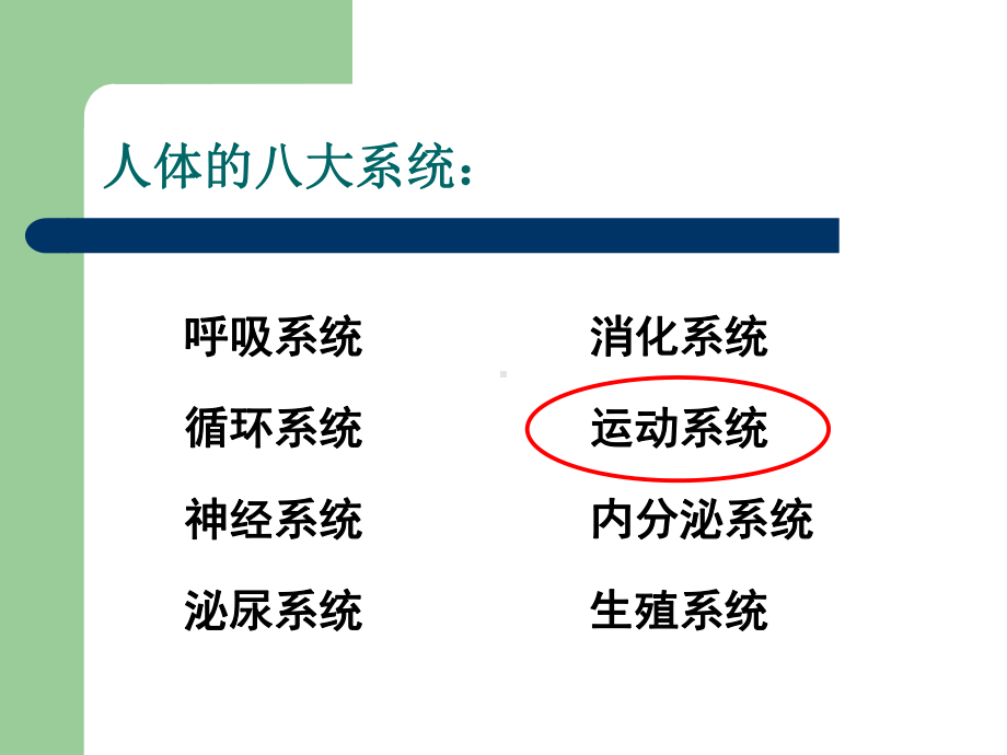 《第一节-运动的基础》PPT课件(河北省市级优课).ppt_第3页