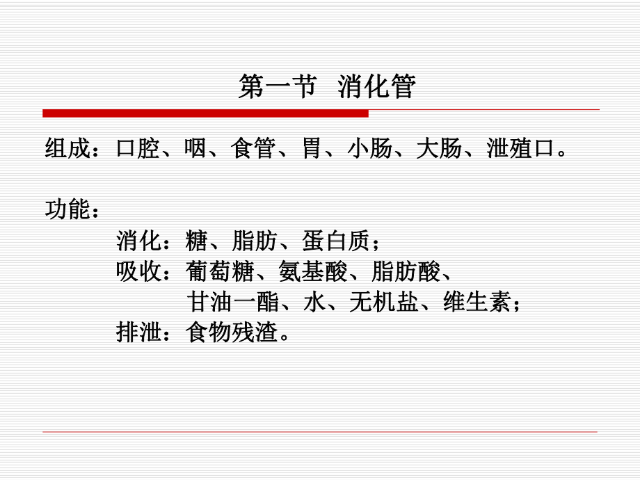 组织胚胎学课件第四章消化器官.ppt_第3页