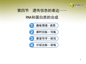 （课时讲练通）高中生物 3.4遗传信息的表达RNA和蛋白质的合成课件 浙科版必修2.ppt