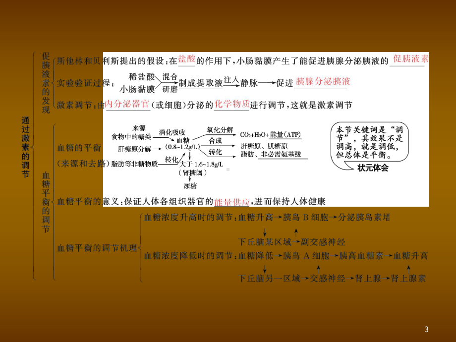 通过激素及神经调节与体液调节的关系-PPT课件.ppt_第3页