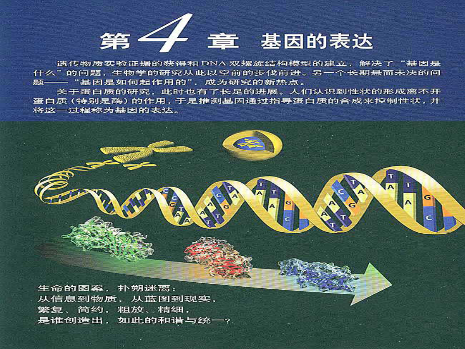 高中生物必修二课件基因指导蛋白质的合成.ppt_第1页