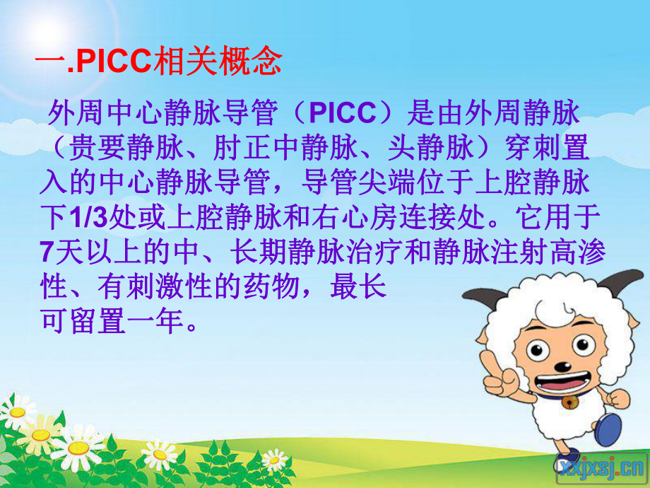 picc导管断裂维护及预防-PPT课件.ppt_第2页