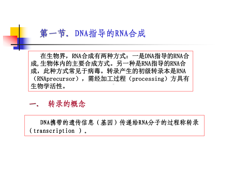 《生物化学课件》12-RNA的生物合成.ppt_第3页