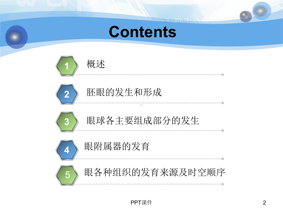 眼的发育生物学-ppt课件.ppt_第2页