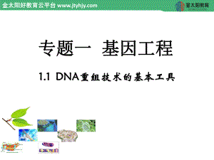 2015-2016学年 1.1《DNA重组技术的基本工具》课件.ppt.ppt