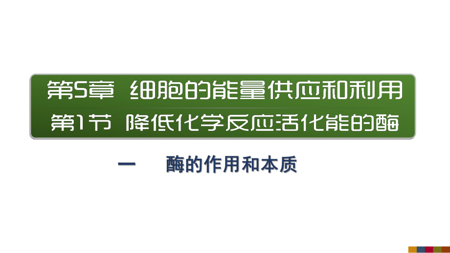 降低化学反应活化能的酶之酶的作用和本质PPT课件.pptx_第2页