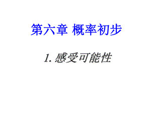 感受可能性-ppt课件.ppt