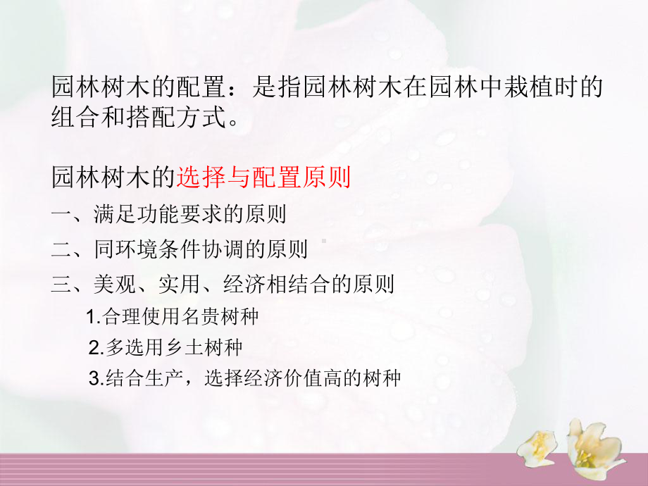 树木的配置形式-ppt课件.ppt_第2页