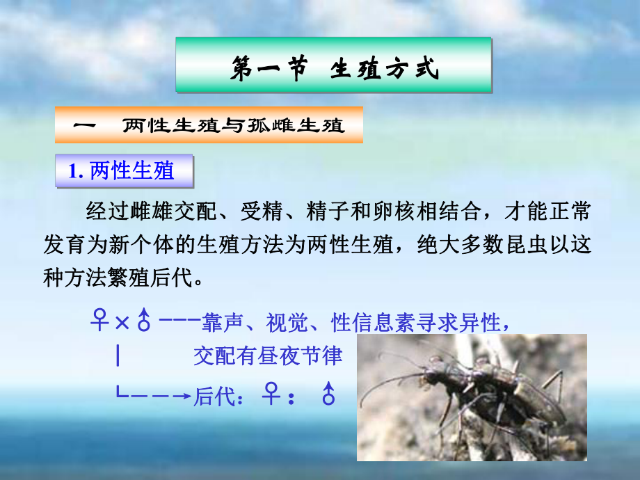 （林学课件）森林昆虫学- 生殖方式.ppt_第1页