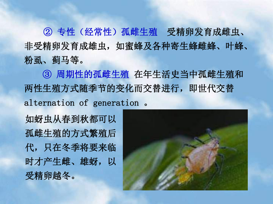 （林学课件）森林昆虫学- 生殖方式.ppt_第3页